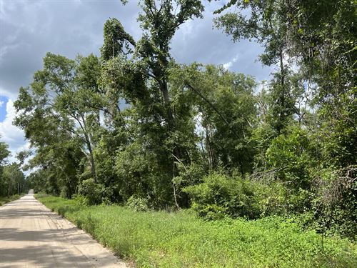 1.34 Acre Homesite Near The River : Live Oak : Suwannee County : Florida