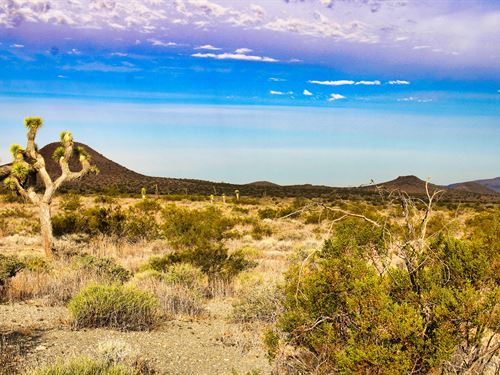 U2 Joshua Tree Dreams : Barstow : San Bernardino County : California
