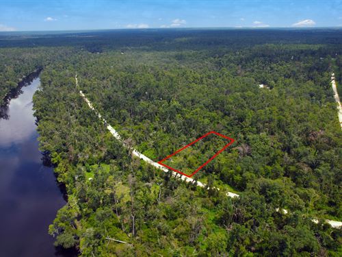 Homesite Close to Springs and Parks : Live Oak : Suwannee County : Florida