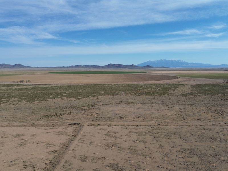 5 Acres Near The Rio Grande River : San Luis : Costilla County : Colorado