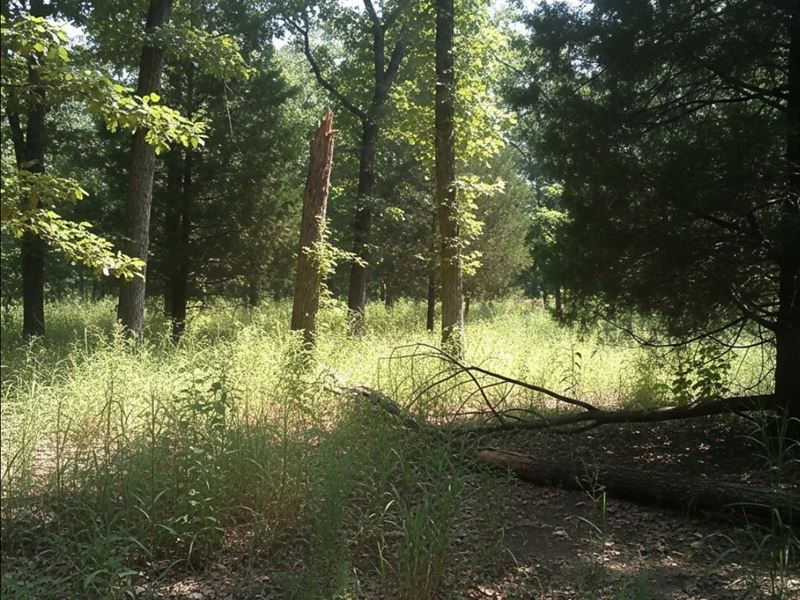Lincoln County Ok, 5 Acres : Chandler : Lincoln County : Oklahoma
