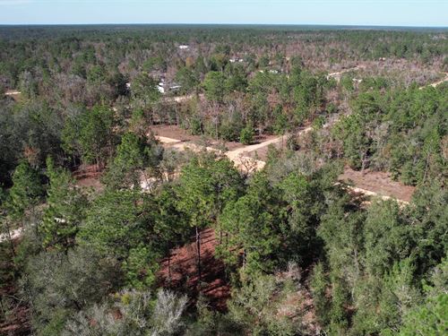 .23 Acre Lot in Interlachen, FL : Interlachen : Putnam County : Florida