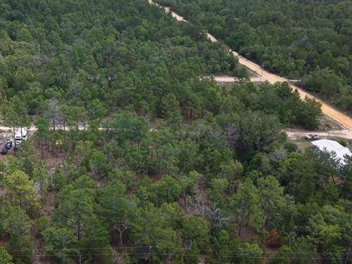 Florida Land in Putnam 0.23 Ac : Interlachen : Putnam County : Florida