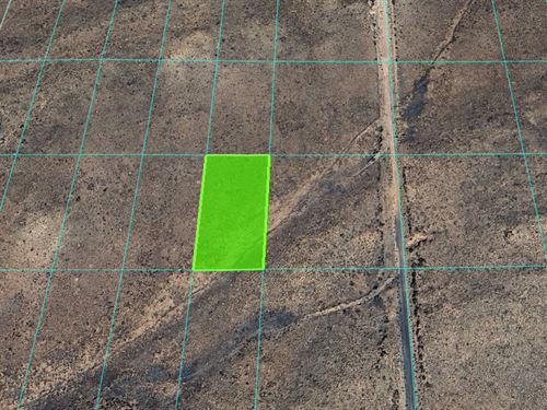 Vacant-Residential Land in Arizona : Sun Valley : Navajo County : Arizona