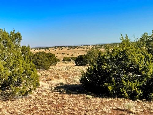 Escape Urban Limits in Concho, AZ : Concho : Apache County : Arizona