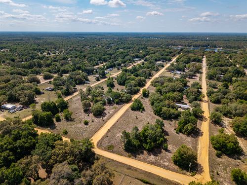 .20 Ac Lot Interlachen, FL Land : Interlachen : Putnam County : Florida