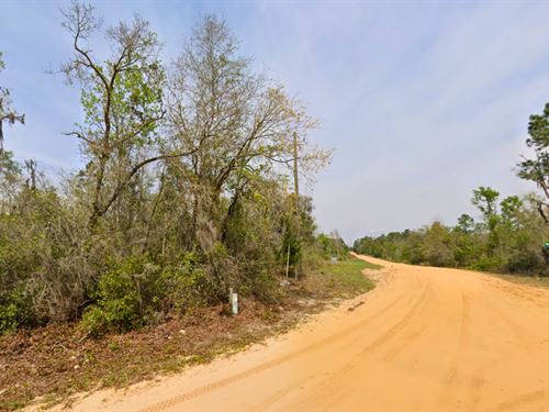 .22 Acre Lot in Florahome, FL : Florahome : Putnam County : Florida