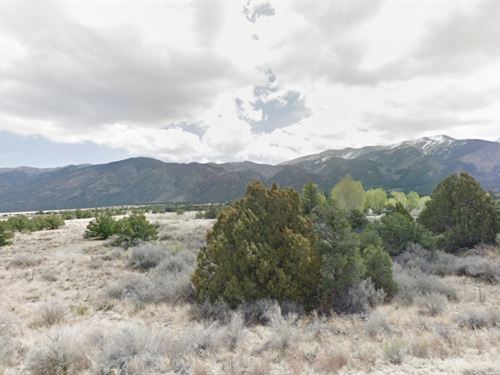 Live by Your Rules Only : Mosca : Alamosa County : Colorado