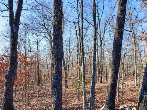 Own Land Near Crown Lake : Horseshoe Bend : Izard County : Arkansas