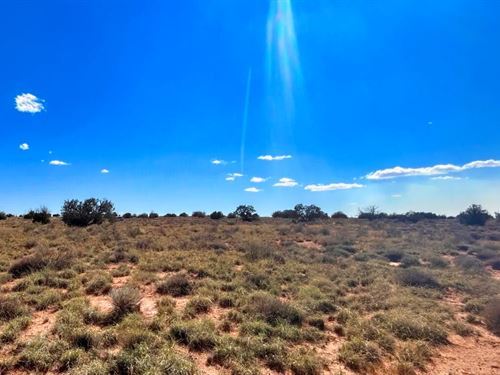 Welcome to Snowflake : Snowflake : Navajo County : Arizona