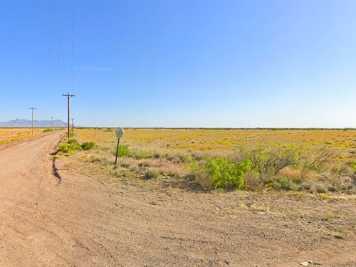 Flat Lot with Dual Dirt Road Access : Deming : Luna County : New Mexico