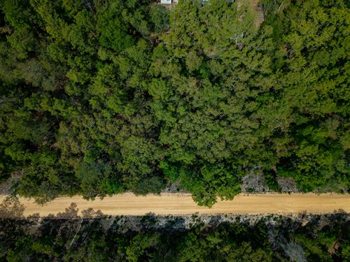 .22 Ac Lot Build in Interlachen FL : Interlachen : Putnam County : Florida