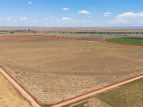 Morgan County Irrigated Farm Lots : Wiggins : Morgan County : Colorado