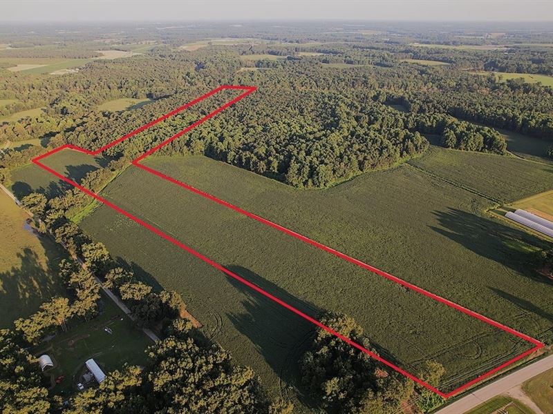24.17 Acres of Farm Land / Timbe : Albertson : Duplin County : North Carolina