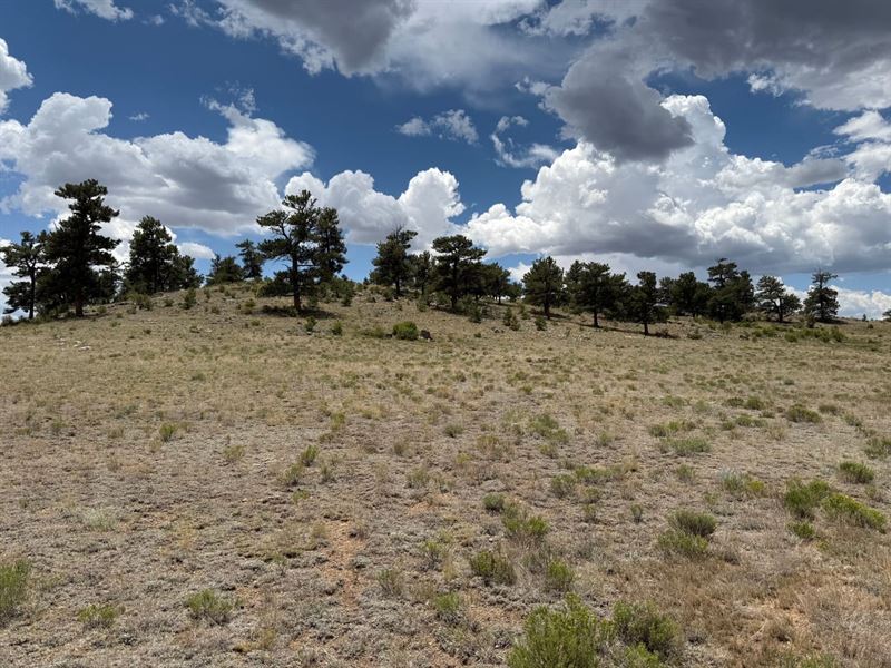 Wagon Wheel : Hartsel : Park County : Colorado