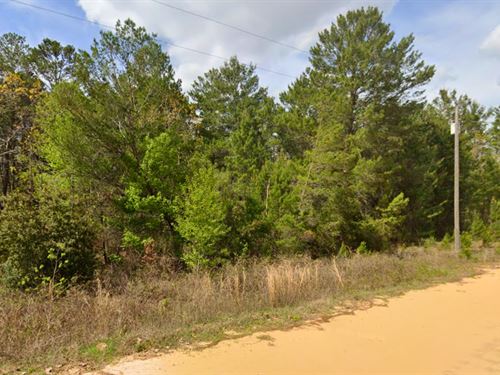 Wooded 0.22 Acre Lot in Interlachen : Interlachen : Putnam County : Florida