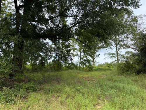 Thirty-Five To Grow On : Ariton : Dale County : Alabama