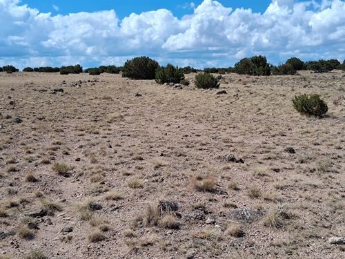 Off Grid Desert Living, Rvs OK : Concho : Apache County : Arizona