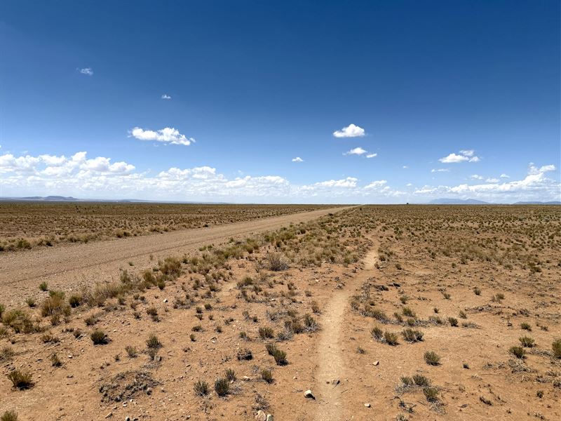 Land Near Manzano Mountains : Belen : Valencia County : New Mexico