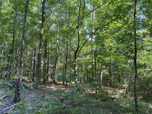 TN Land for Sale To Build On : Adamsville : McNairy County : Tennessee