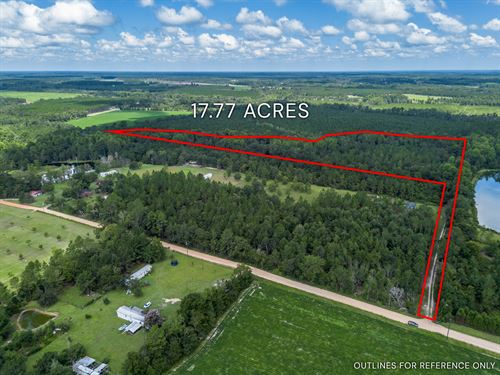 17.77 Acres, Mallard Road, Odum : Odum : Wayne County : Georgia