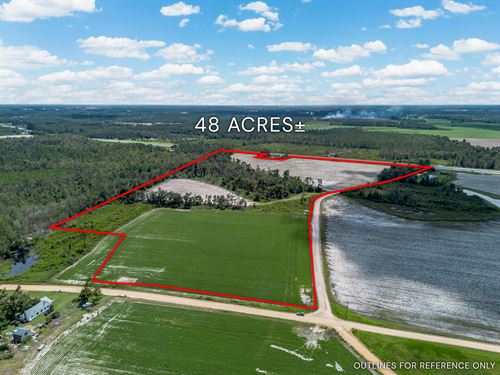 48+/- Acres, Golden Isles Highway : Hazlehurst : Appling County : Georgia