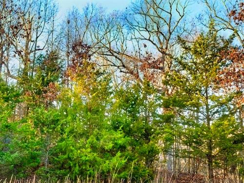 Your Rent Rebellion Starts Here : Horseshoe Bend : Izard County : Arkansas