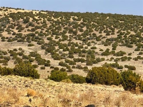 Room to Breathe, Just $349 to Start : Concho : Apache County : Arizona