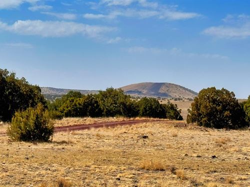 Take Back Your Freedom : Concho : Apache County : Arizona