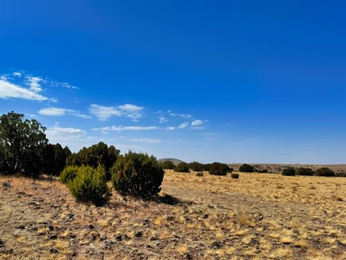 No More Weekend Warrior, Live It : Concho : Apache County : Arizona