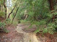 Rare Santa Cruz Land Opportunity : Felton : Santa Cruz County : California