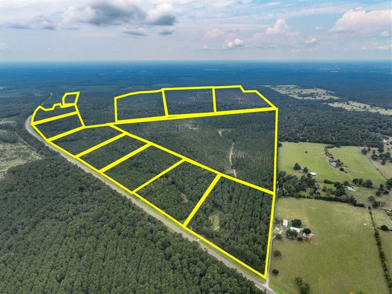 28 Acres, T-24, Highway 94, 4552 : Groveton : Trinity County : Texas