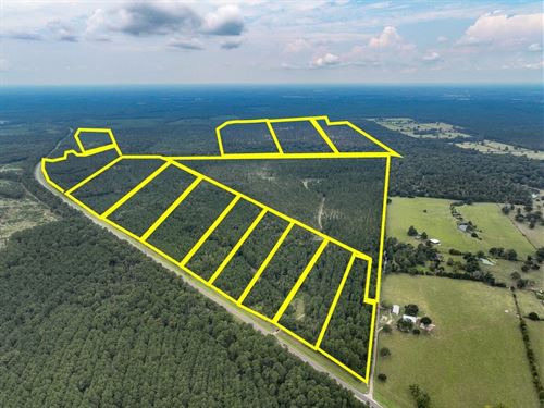 52 Acres, T-25, Highway 94, 4552 : Groveton : Trinity County : Texas