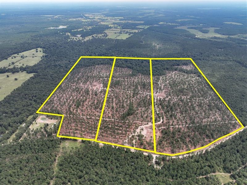 82 Acres, T-32, Boontown Road, 4 : Groveton : Trinity County : Texas
