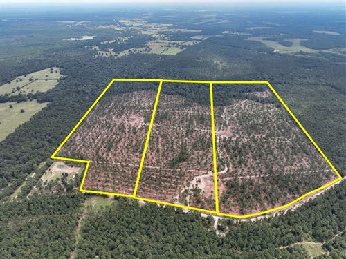 70 Acres, T-33, Boontown Road, 4 : Groveton : Trinity County : Texas