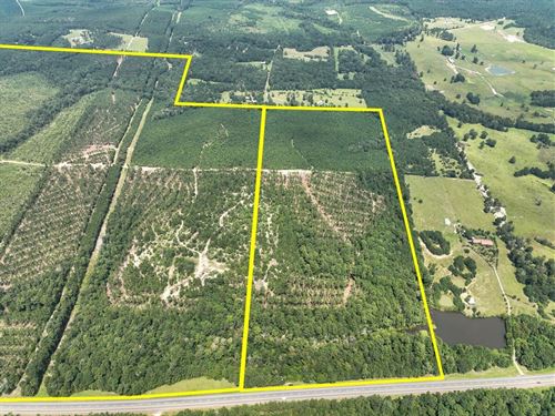 80 Acres, Highway 190, T-8, 2870 : Woodville : Tyler County : Texas