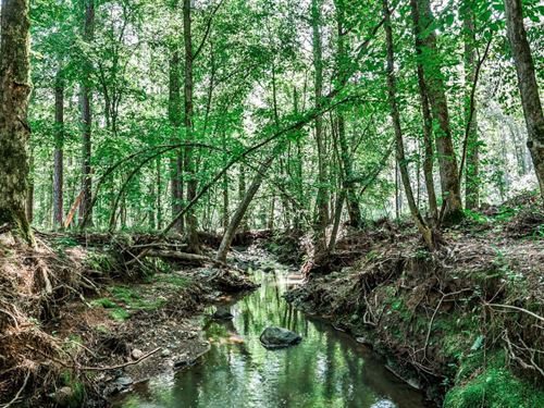 Stalking Creek Farm : Monticello : Jasper County : Georgia