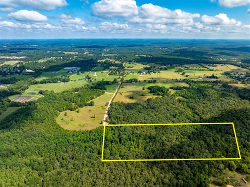 23 Acres, Wooded, Hunting Land : Cave City : Independence County : Arkansas