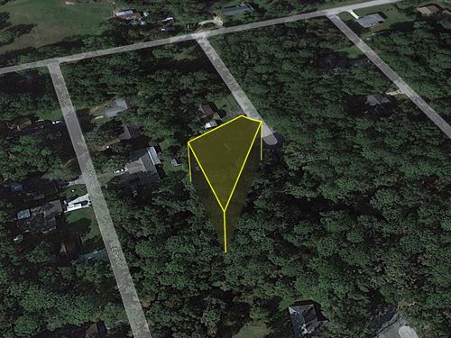 Inverness Land Deal Only $406/Mo : Inverness : Citrus County : Florida