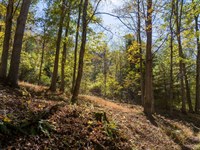 15.09 Acres in Greenbrier County WV : Renick : Greenbrier County : West Virginia