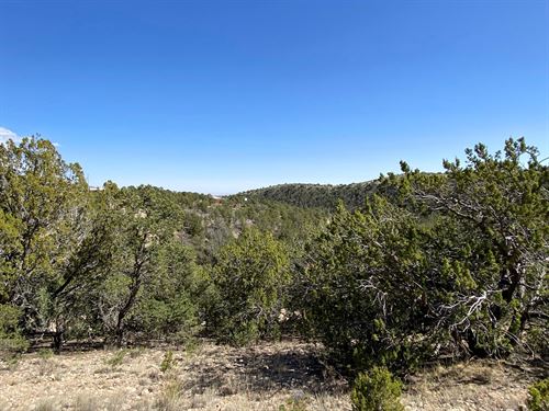 Your Mountain Basecamp : Cloudcroft : Otero County : New Mexico