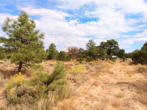Camp Under The Stars : Pinehill : Cibola County : New Mexico