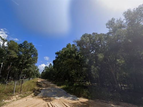 Prime Interlachen Land, $199 Down : Interlachen : Putnam County : Florida