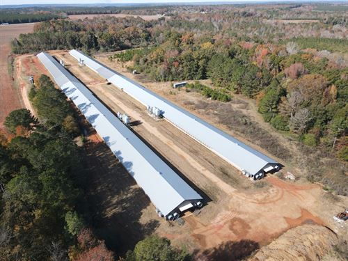 431 Breeder Farm, Four House Farm : Abbeville : Henry County : Alabama