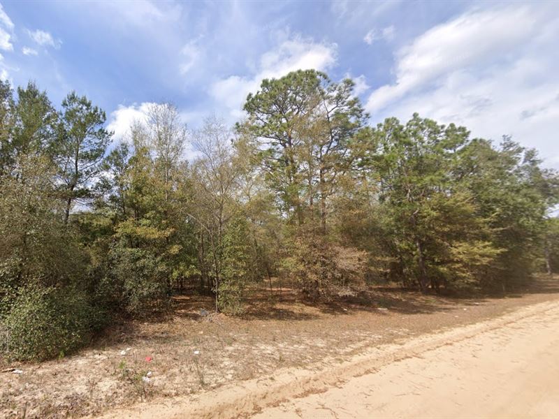 Dont Rent, Own Land $149 Down : Interlachen : Putnam County : Florida