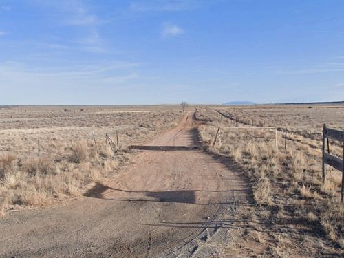 Hunt, Explore, and Off-Road Here : Moriarty : Torrance County : New Mexico