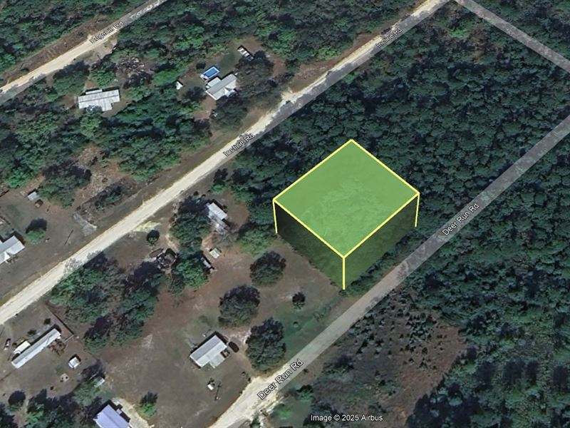 Back to School Land Sale, $99 Down : Satsuma : Putnam County : Florida