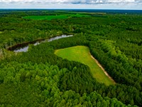 Long Branch Hunting & Timber : Preston : Webster County : Georgia