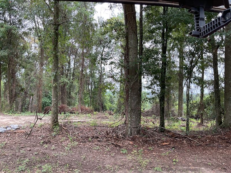 Spring Hill Road Lots : Luverne : Crenshaw County : Alabama