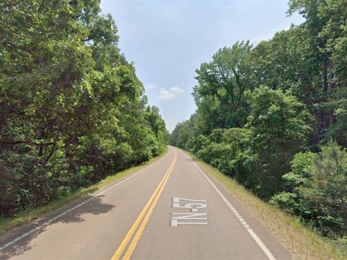 Rogers Springs Land for Sale : Middleton : Hardeman County : Tennessee
